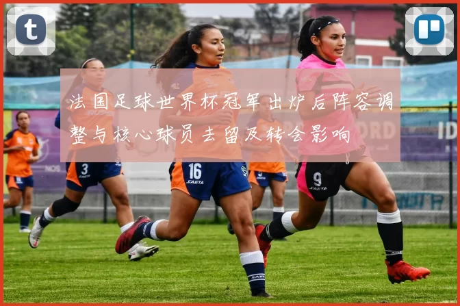 法国足球世界杯冠军出炉后阵容调整与核心球员去留及转会影响