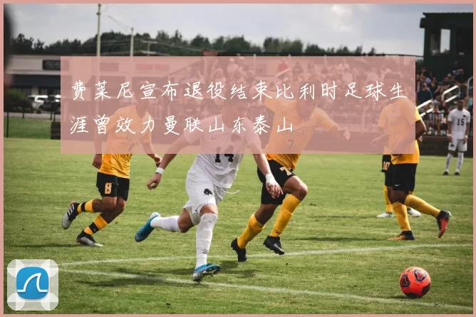 费莱尼宣布退役结束比利时足球生涯曾效力曼联山东泰山