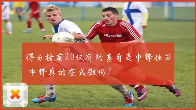 得分榜前20仅有约基奇是中锋独苗 中锋真的在式微吗？