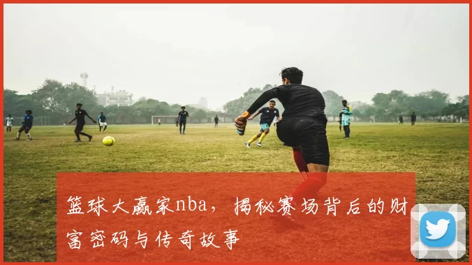 篮球大赢家nba，揭秘赛场背后的财富密码与传奇故事