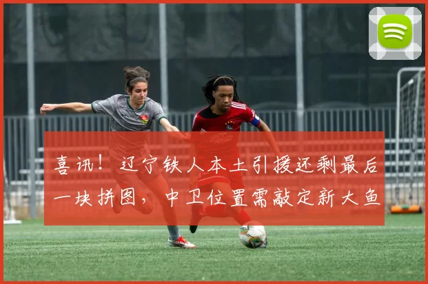 喜讯！辽宁铁人本土引援还剩最后一块拼图，中卫位置需敲定新大鱼