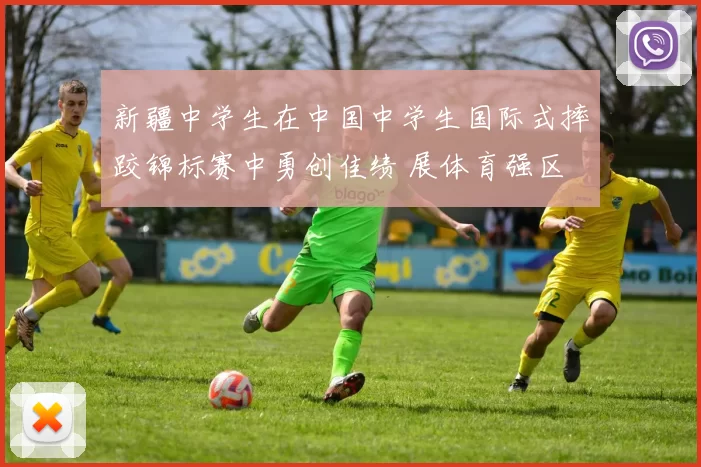 新疆中学生在中国中学生国际式摔跤锦标赛中勇创佳绩 展体育强区