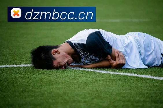 开云(中国)Kaiyun·官方网站 - 登录入口APP 高清赛事图